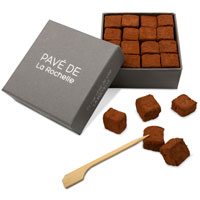 Miniature paves de la rochelle